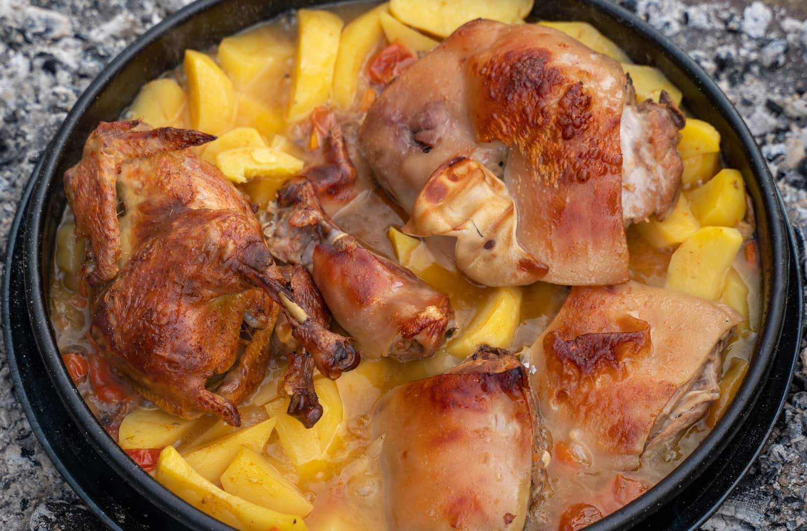 A roasted turkey resting in a roasting pan